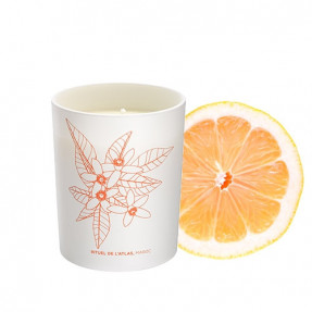 Phyto-Aromatic Candle Atlas