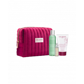 Ayurveda Body Kit 